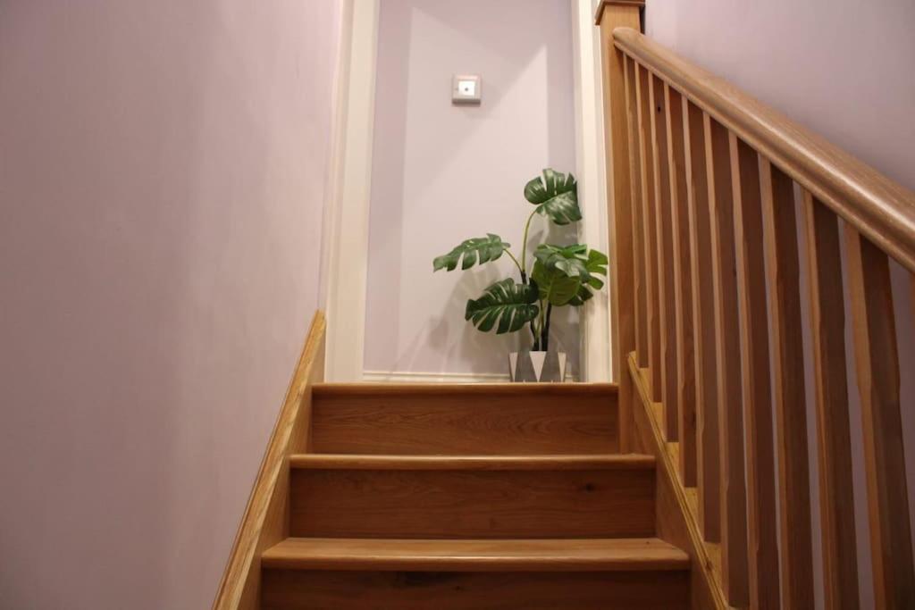 5 Star Apartment 런던 외부 사진